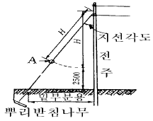 문제 그림